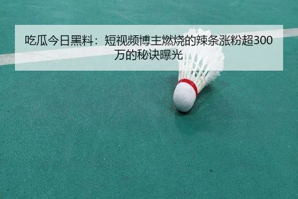 chi-gua-jin-ri-hei-liao-duan-shi-pin-bo-zhu-ran-shao-de-la-tiao-zhang-fen-chao-wan-de-mi-jue-bao-guang-2-833.jpg