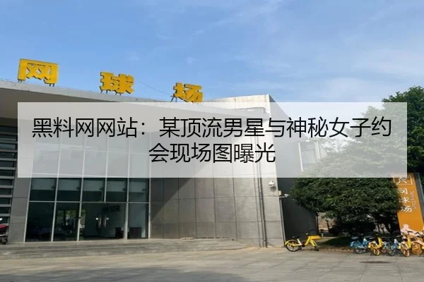 hei-liao-wang-wang-zhan-mou-ding-liu-nan-xing-yu-shen-mi-nv-zi-yue-hui-xian-chang-tu-bao-guang-2-979.jpg